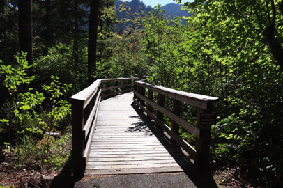 Paved trail transitions to wooden boardwalk with railing over wetlands – lip at transition – slippery when wet